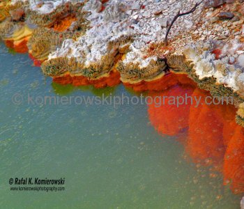 Shoreline of Champagne Pool...Wai-O-Tapu, New Zealand