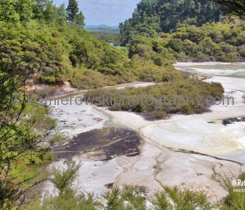 ...major geothermal attractions in the park is accessible along paths and walkways, Wai-O-Tapu, New Zealand