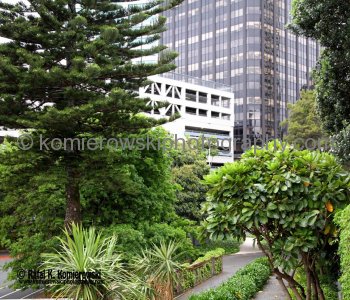 Auckland, New Zealand