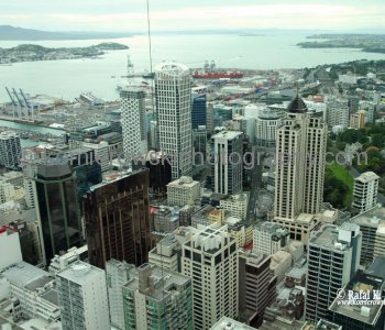 View from Sky Tower, Auckland, New Zealand