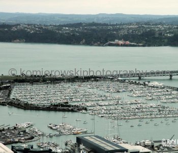 View from Sky Tower, Auckland, New Zealand