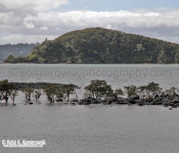 Arriving to Bay of Islands, North Island, New Zealand