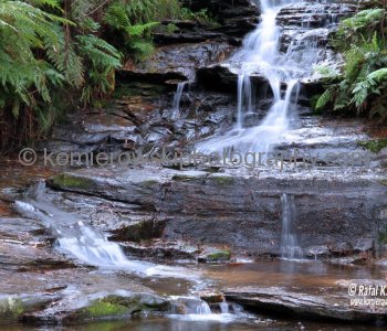....a small waterfall at Leura, Blue Mountains,  109 km west of Sydney in New South Wales, Australia