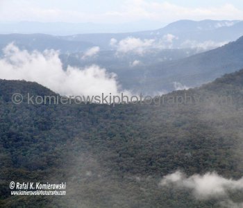 Eucalyptus trees are rich in oil and finely dispersed droplets of the oil emitted from the trees create a blue haze over the mountains