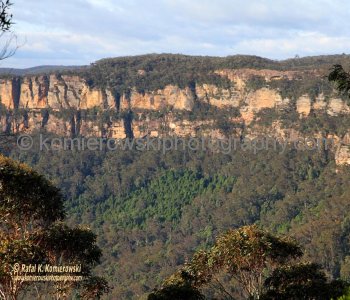 Blue Mountains,   New South Wales, Australia