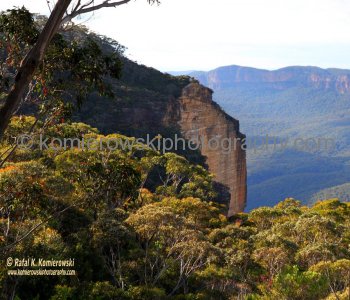 Blue Mountains,   New South Wales, Australia