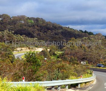 .....on the way to Jenolan Caves from Katoomba, near the Blue Mountains,   New South Wales, Australia