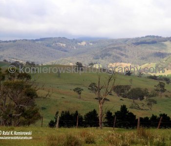 View from the highway on the way to Jenolan Caves from Katoomba, New South Wales, Australia