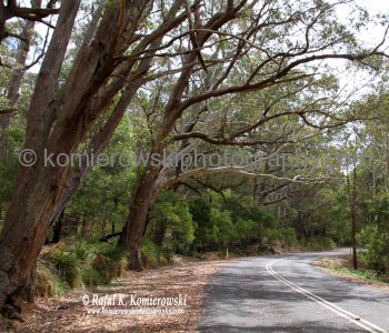 We left Lithgow by driving on the Great Western Highway (No.32 North) to Marrangaroo then entered  Castlereagh Highway (No. 86)