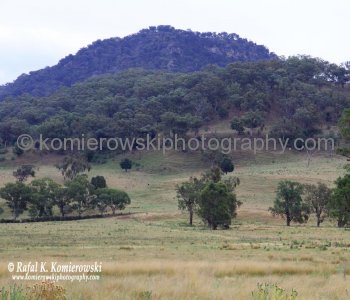 Majority  of Bylong Valley Way is nestled between the Wollemi and Goulburn River National Parks