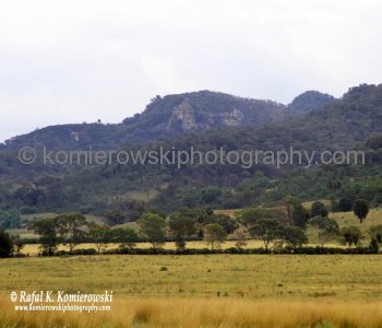 Farmland scenery viewed from Bylong Valley Way, NSW, Australia