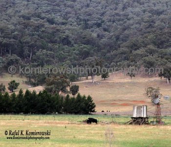 Farmland scenery viewed from Bylong Valley Way, NSW, Australia