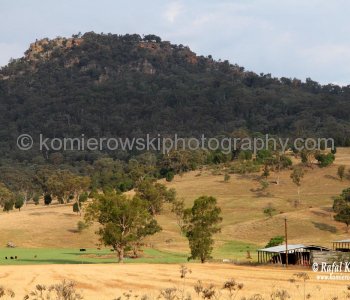 Farmland scenery viewed from Bylong Valley Way, NSW, Australia