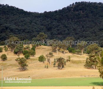 Entered Upper Hunter Valley, NSW, Australia