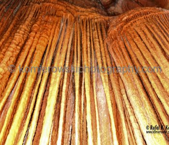 Jenolan Caves, Blue Mountains, New South Wales, Australia