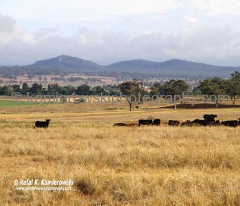 Entered Upper Hunter Valley, NSW, Australia