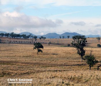 Entered Upper Hunter Valley, NSW, Australia