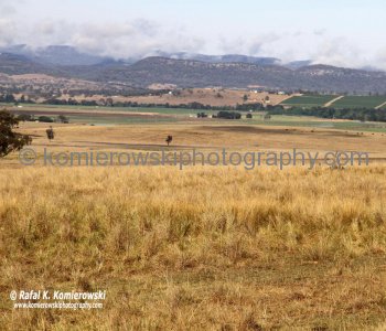 Upper Hunter Valley seen from Denman Road between Denman and Muswellbrook, NSW, Australia