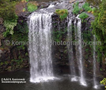Dangar Falls near Dorrigo, NSW, Australia (rain - local spring time - November 10, 2012)