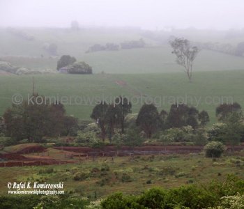 Near Dorrigo, NSW, Australia (rain - local spring time - November 10, 2012)
