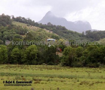Murwillumbah is rich dairy, sugar cane and banana country, New South Wales, Australia,  (November 11, 2012)