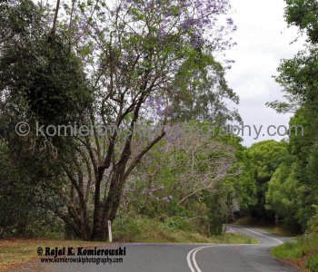 From Murwillumbah  on the way to Queensland, Australia,  (November 11, 2012)