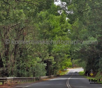 Country Road near Murwillimbah,  NSW, Australia, (November 11, 2012)