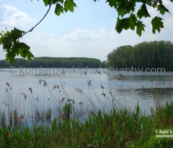 Falenty, here are located several large commercial fish ponds, which have been here since Tsarist days. Near Warsaw, Poland