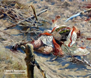 The huge panorama painting was executed within 9 months, between August 1893 and May 1894. The official opening was on 5 June 1894.
