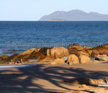 Bowen, Queensland,