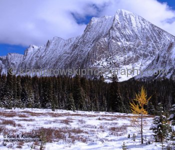 Hiking trail to Chester Lake from parking lot