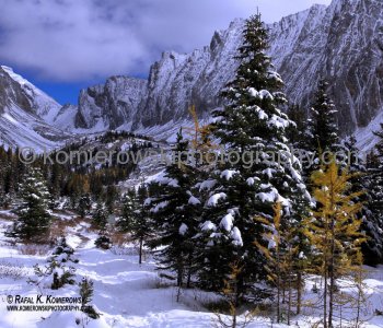 Hiking trail to Chester Lake from parking lot