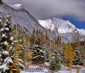 Hiking trail to Chester Lake from parking lot