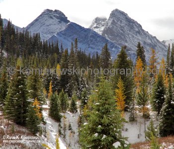 Hiking trail to Chester Lake from parking lot