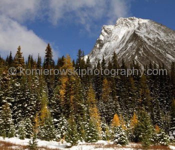 Hiking trail to Chester Lake from parking lot