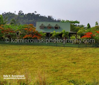 Near Mena Creek-Paronella...farmland, Queensland
