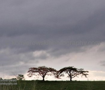 Palmerston Hwy. 25......farmland on the way to Millaaa Millaa,  Queensland