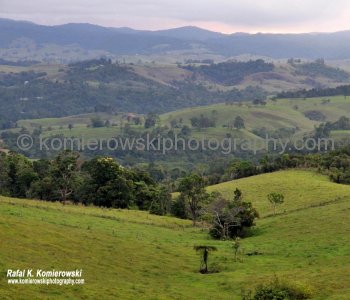 Palmerston Hwy. 25...near Milla Millaa, one of the richest places in tropical north Queensland