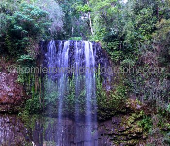 Millaa Millaa Falls, Queensland..