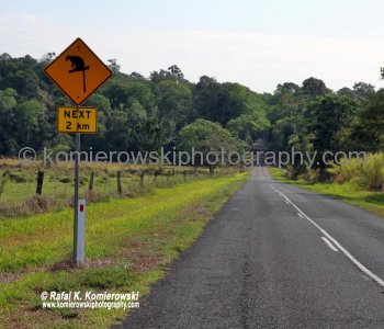 ..on the way to Yungaburra, Queensland