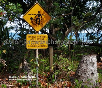 ...another warning sign...Cape Tribulation, Queensland