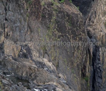 Barron Falls, Kuranda, Queensland