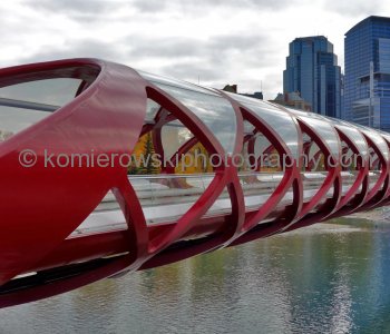 Peace Bridge, seen from Bow River Pathway (Memorial Drive NW), Calgary, Alberta