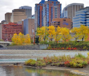 West End.. Bow River, seen from Bow River Pathway (Memorial Drive NW), Calgary, Alberta