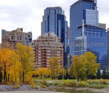 Eau Claire Park.. Bow River, seen from Bow River Pathway (Memorial Drive NW), Calgary, Alberta