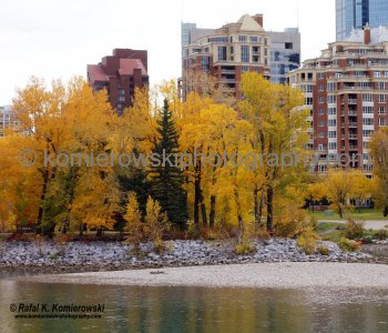 Eau Claire Park.. Bow River, seen from Bow River Pathway (Memorial Drive NW), Calgary, Alberta