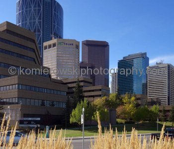 Bow Tower,  seen from Bow River Pathway (River Front Ave SE), Calgary, Alberta