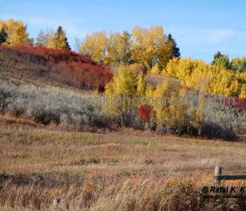 Sikome Lake and Bow Bottom Trail SE, (October 2013), Calgary, Alberta