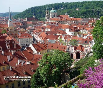 Famous red roofs (of Prague) seen from Hradčany ...castle district in Prague, Czech Republic