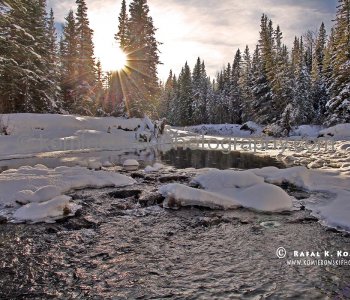 Sibald Flats, Kananaskis Country wrest of Calgary